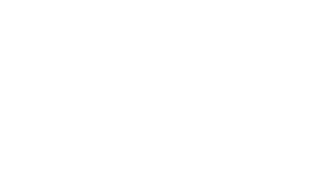 Boris Studio